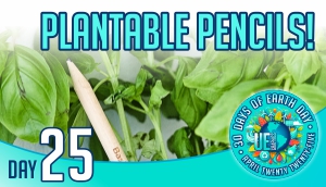 Day twenty-five - plantable pencil promotional products